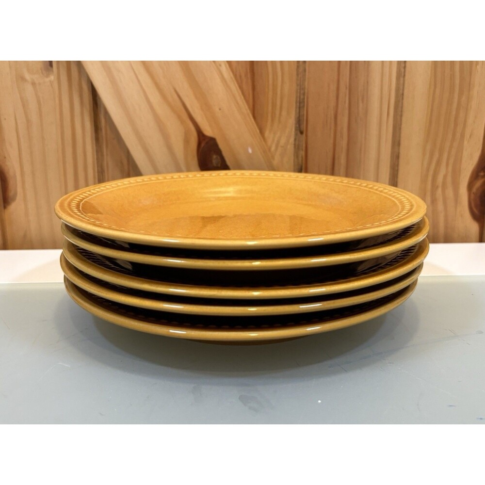 Pier 1 Imports Spice Route Ginger Salad Plates 8.5" Set of 5